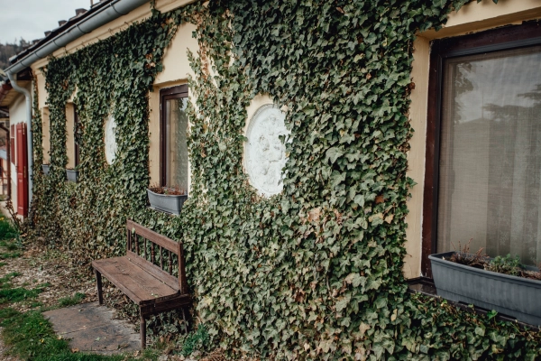 Domček na Staromestskej